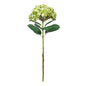 Botanica Giant Green Mop Head Hydrangea (73cm)