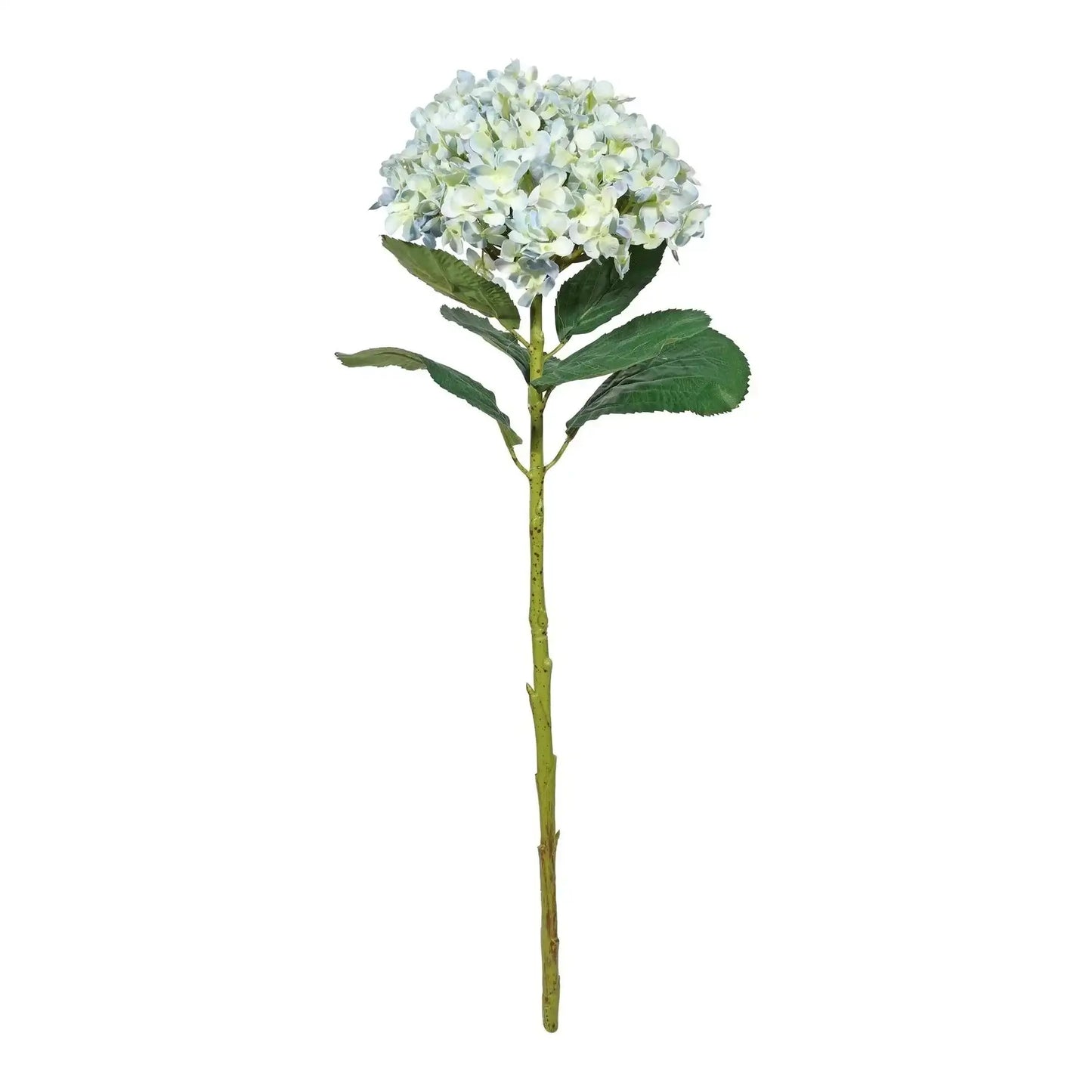 Botanica Giant Pale Blue and Cream Mop Head Hydrangea (73cm)