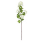 White Botanica Viburnum Opulus (87cm)