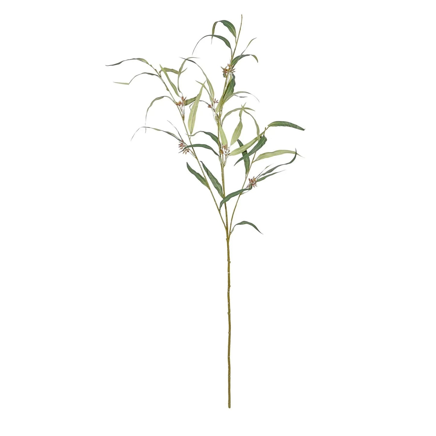 Green Botanica Willow Eucalyptus (116cm)