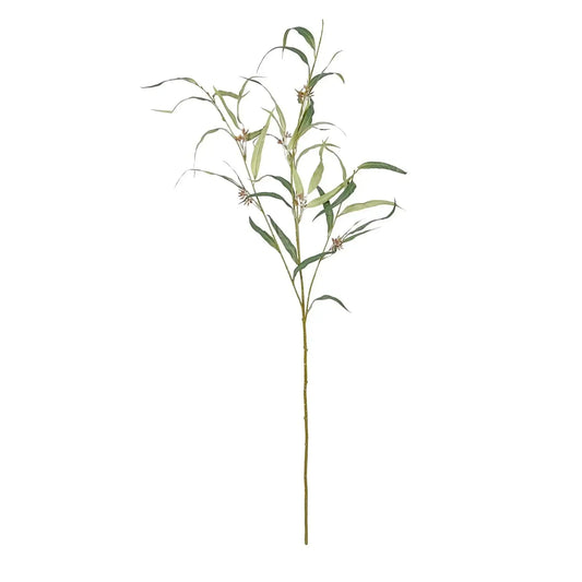 Green Botanica Willow Eucalyptus (116cm)