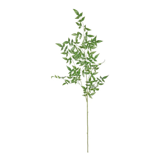 Green Botanica Giant Ruscus (134cm)