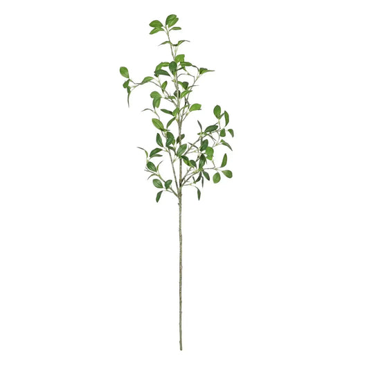 Botanica Giant Green Pitto Leaf (114cm)
