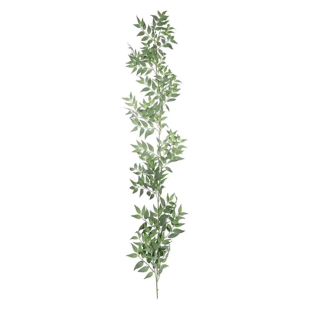 Green Botanica Ruscus Garland (167cm)