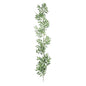 Green Botanica Ruscus Garland (167cm)