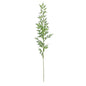 Green Botanica Ruscus Spray (121cm)