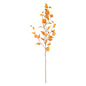 Yellow Glamis Birch (96cm)