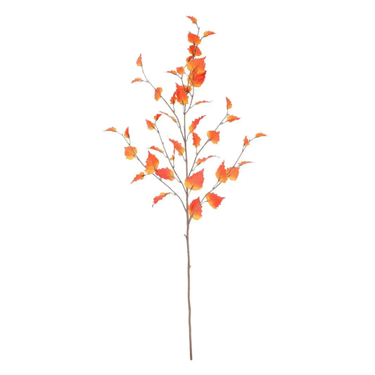 Orange Glamis Birch (96cm)
