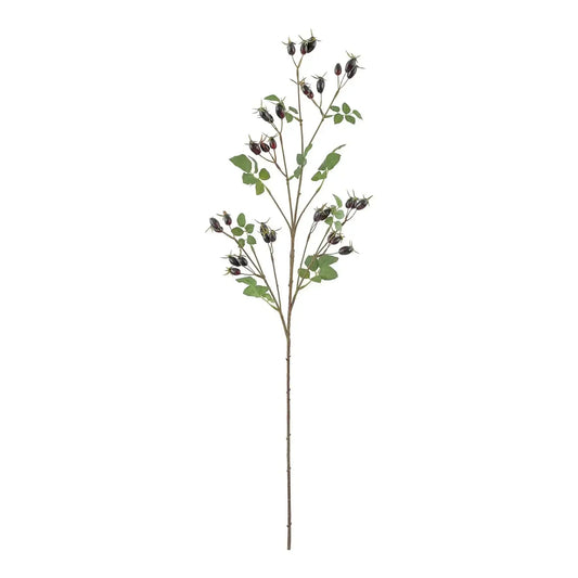 Dark Purple Rose Hip Spray (95cm)