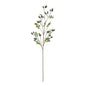 Dark Purple Rose Hip Spray (95cm)