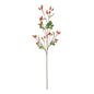 Orange Rose Hip Spray (95cm)