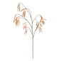 Russet Alder Tree Spray (121cm)