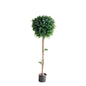 Artificial topiary tree with round green foliage in a black pot, home décor accent