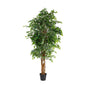 Artificial ficus tree with green leaves in a black pot for home decor