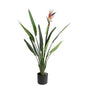 Artificial Bird of Paradise Plant with Flower (100cm)