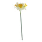 Essential White Mini Daffodil (3 Heads)