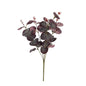 Essential Purple Eucalyptus Bush