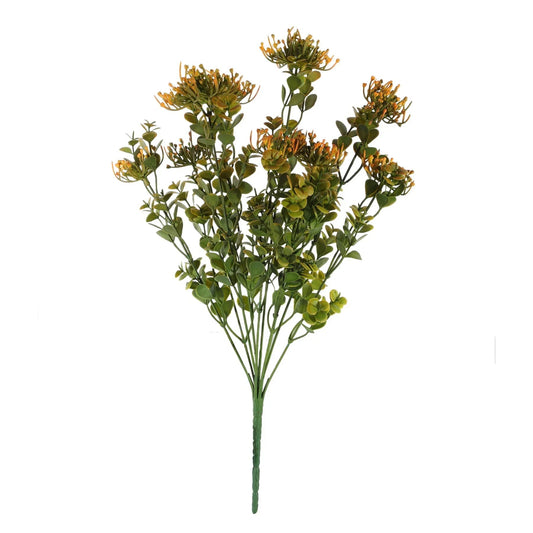 Essential Orange Sedum Bush