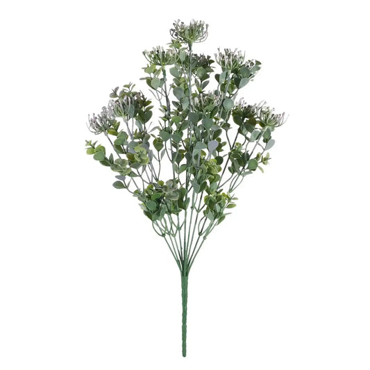 Essential Lilac Sedum Bush