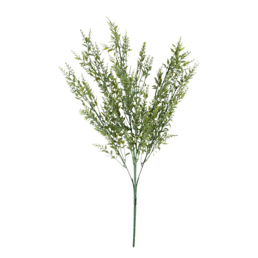 Discover the Essential Green Mini Ruscus Bush  at Bristow Direct