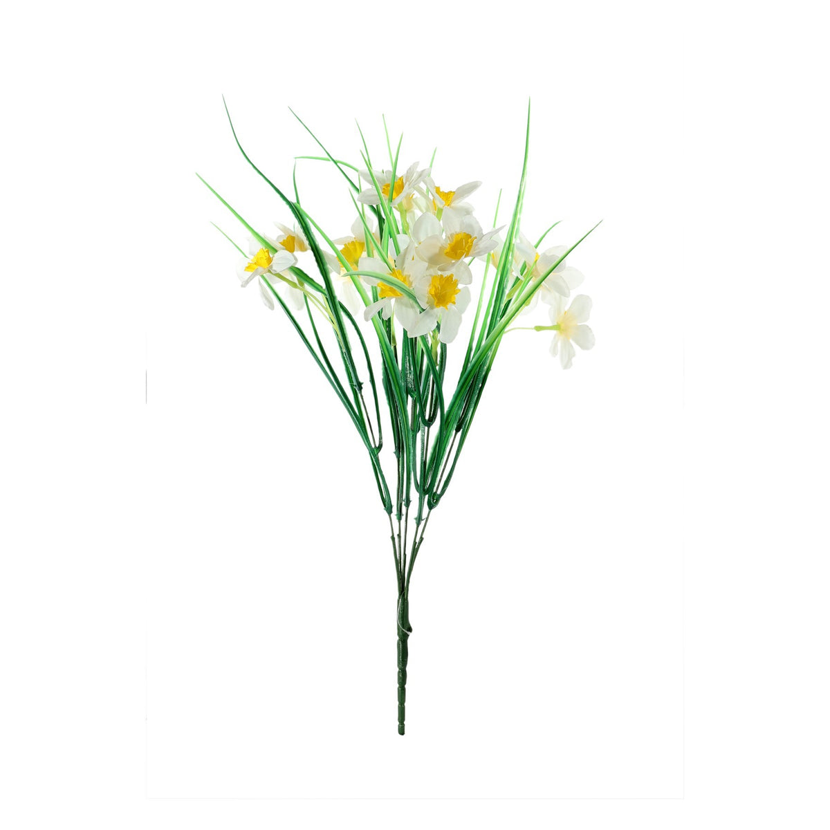 Discover the Essential White Wild Daffodil Bunch  at Bristow Direct