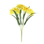 Essential Yellow Narcissus Bush with Leaves