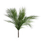 Essential Large Palm Plant