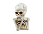 Halloween Skeleton Decoration (18cm)
