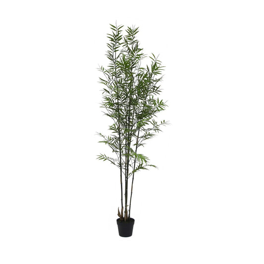 UV Botanica Bamboo Plant  (182cm)