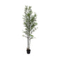 UV Botanica Bamboo Plant  (182cm)