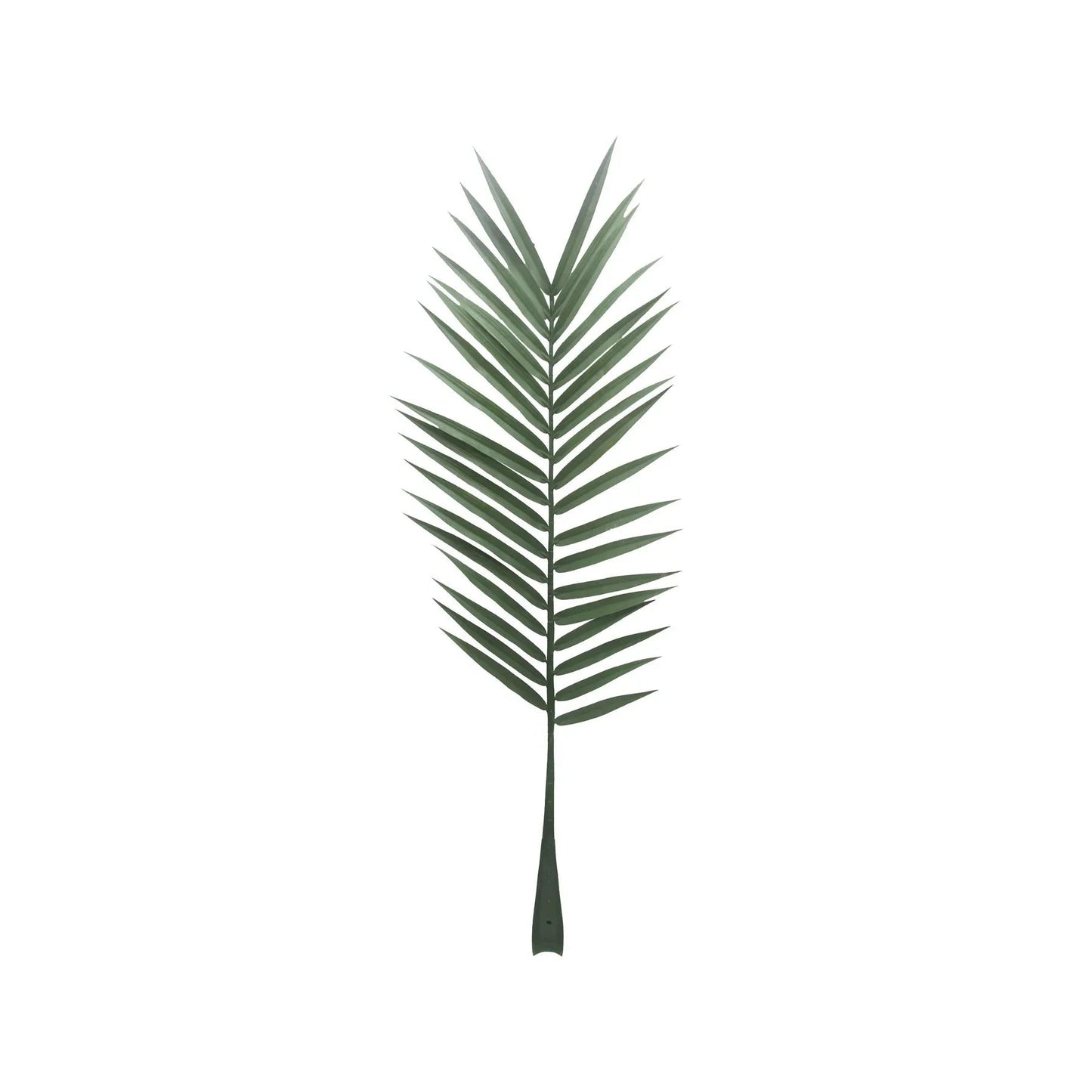 Botanica Palm Leaf (147cm)