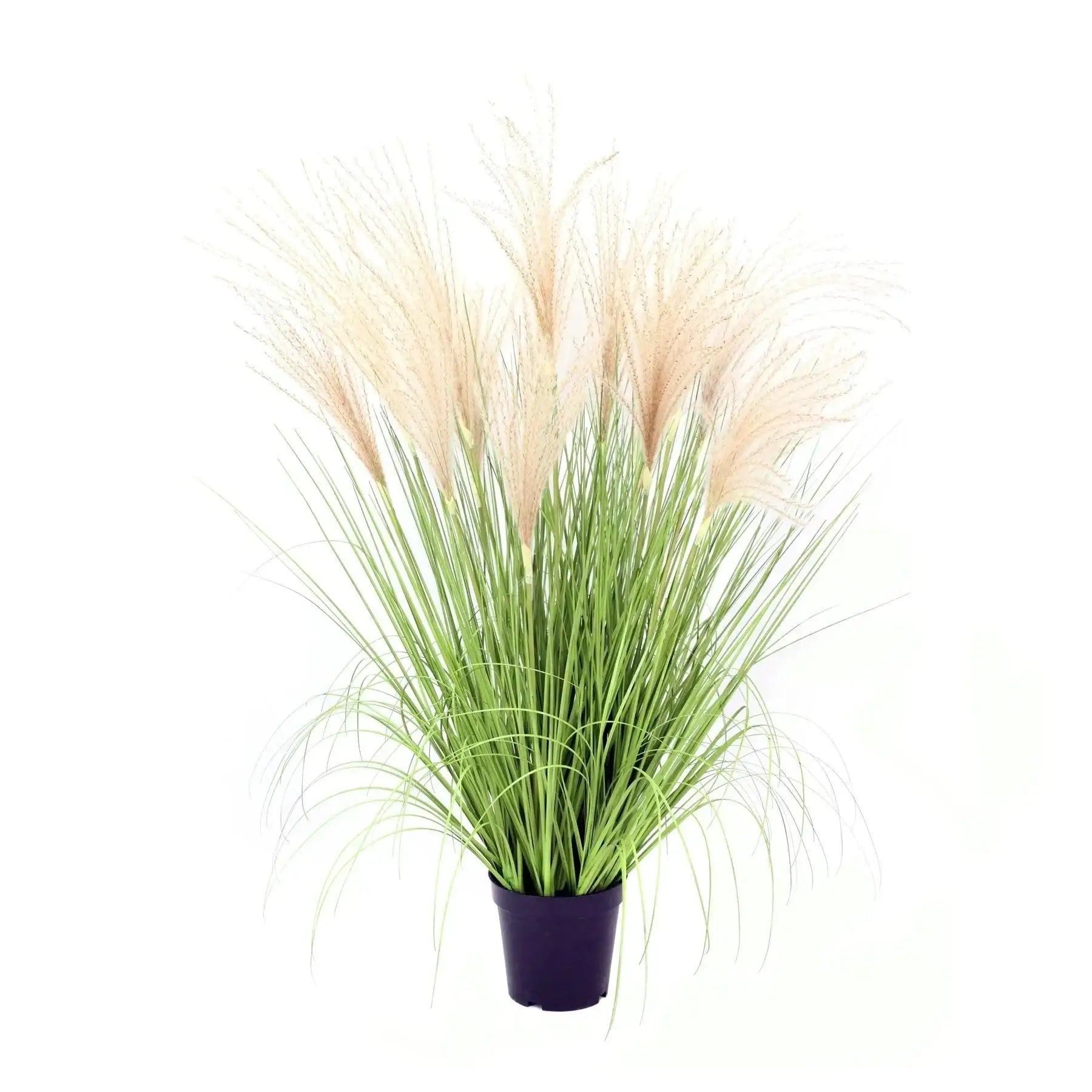 Artificial pampas grass plant in a black pot for home décor