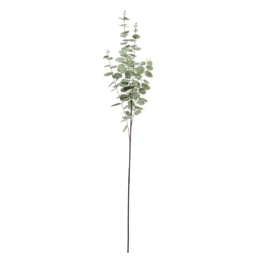 Grey/Green Eucalyptus Stem