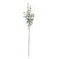 Grey/Green Eucalyptus Stem