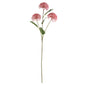 Essential Pink Viburnum Spray