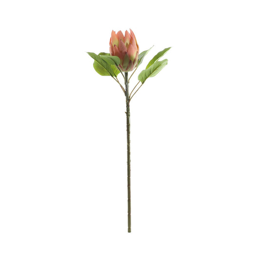 Pink Large Protea (65cm)