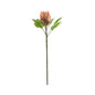 Pink Large Protea (65cm)
