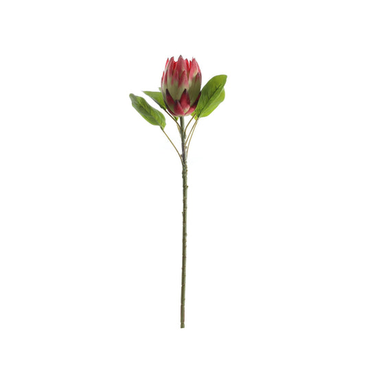 Red Large Protea (65cm)