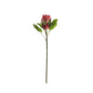 Red Large Protea (65cm)