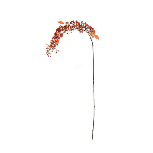 Glamis Orange Berry Trail (106cm)