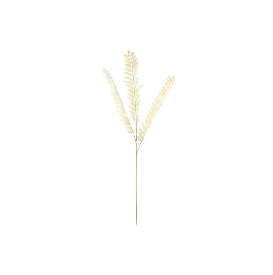 Essential Dry Look Bleached Fern Spray (78cm)