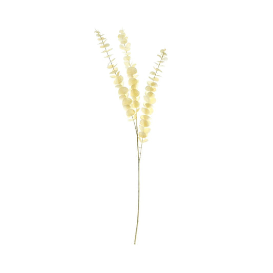 Essential Dry Look Eucalyptus Stem
