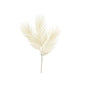 Bleached Fern Leaf (70cm)