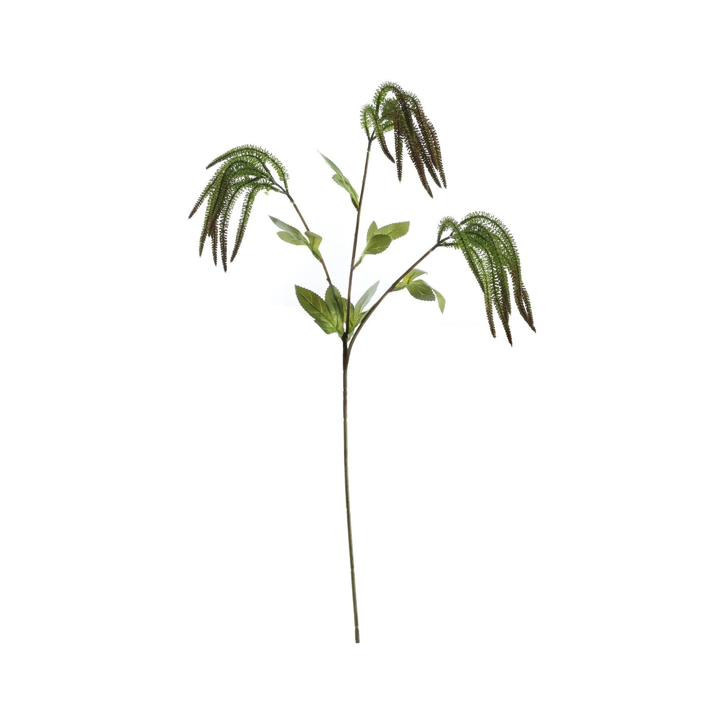 Essential Green Catkin Spray (76cm)