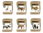 Build Your Own Clockwork Animal (Assorted)