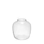 Clear BalloonÂ Glass Vase (25cm)