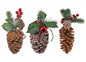 Hanging Pine Cone Decoration (Assorted)