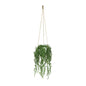Botanica String of Teardrops Hanging Pot