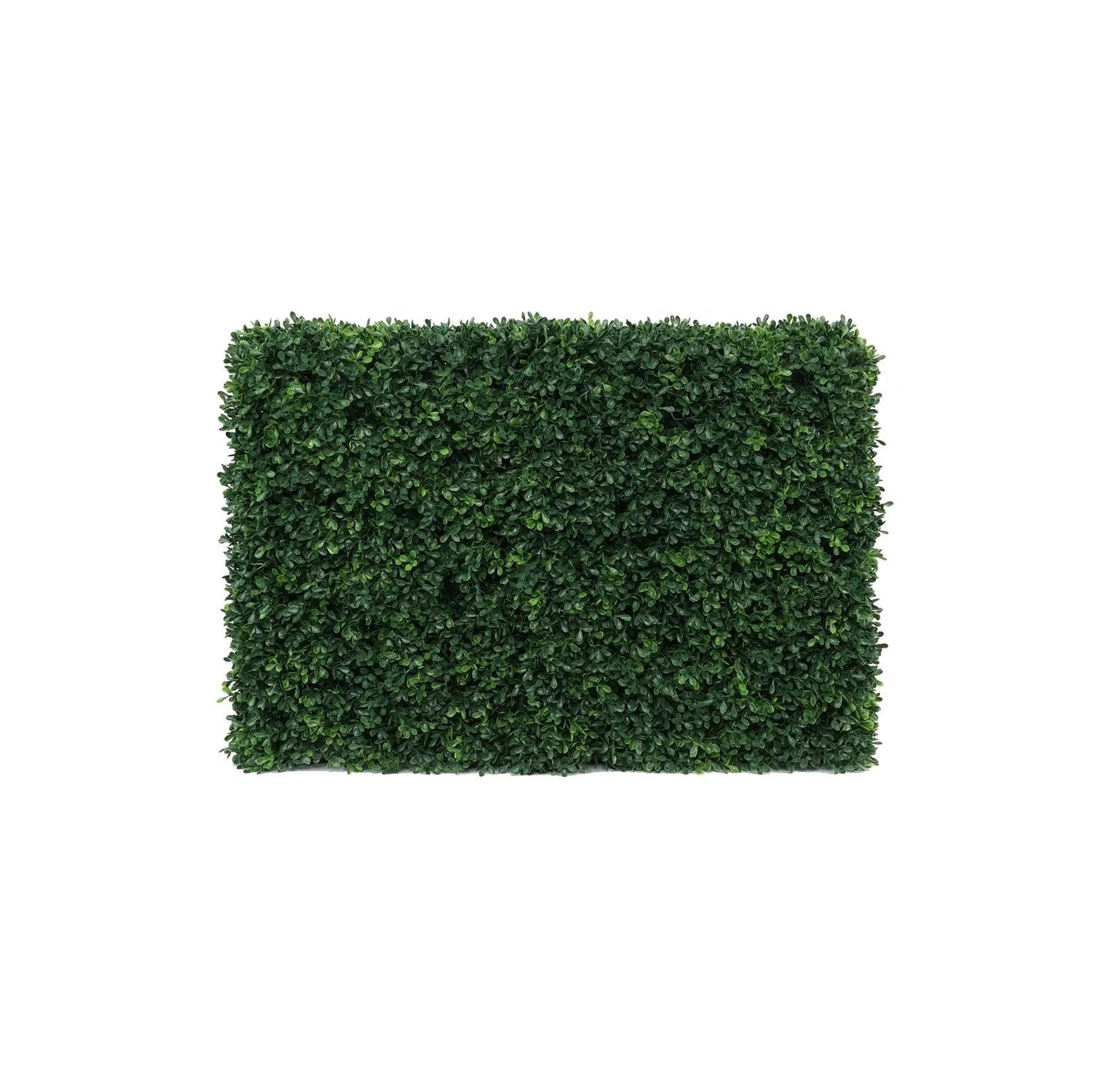 UV Botanica Hedge (66 x 48cm)