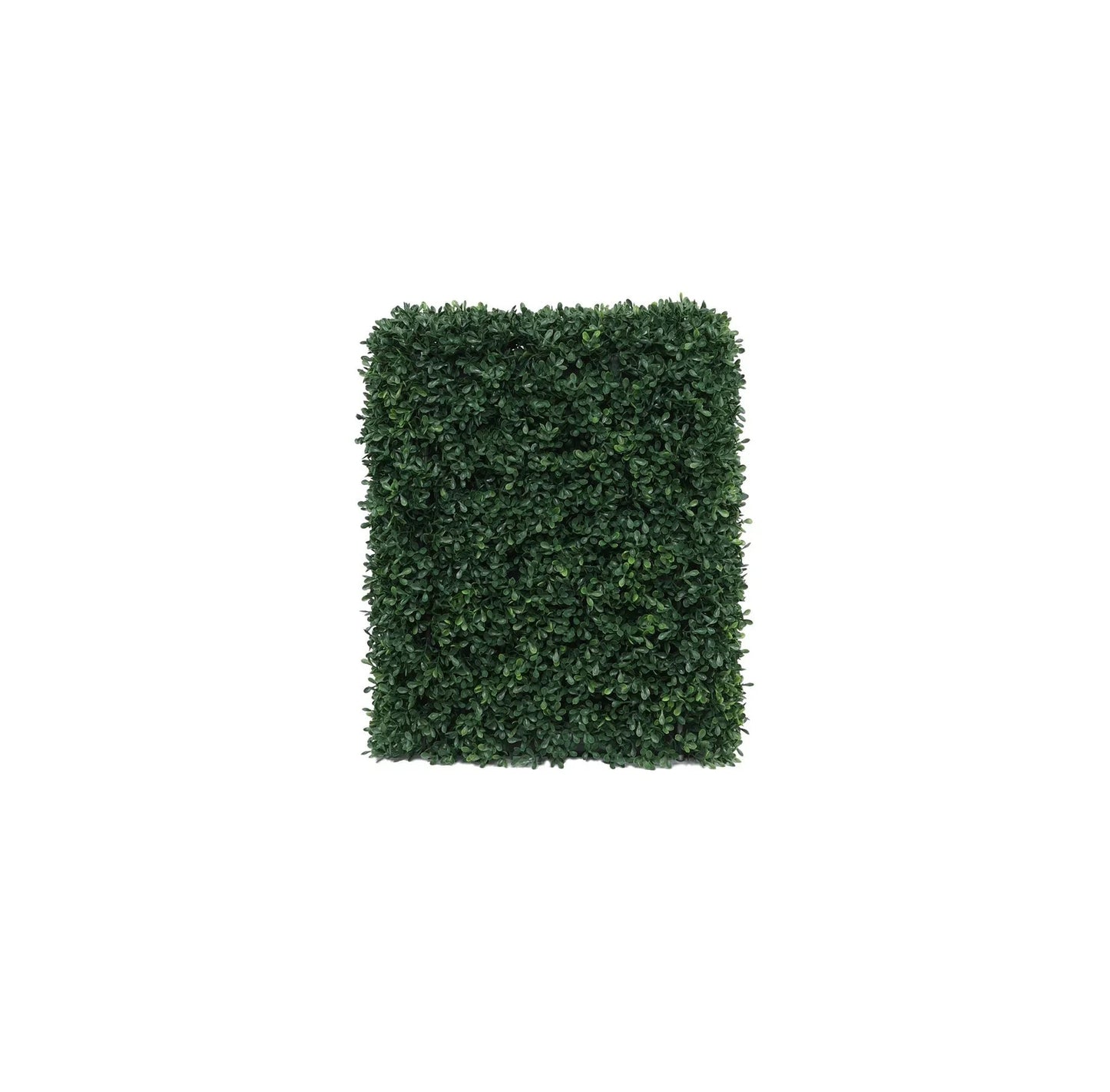 UV Botanica Hedge (37 x 48cm)